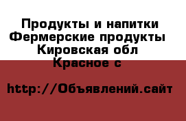 Продукты и напитки Фермерские продукты. Кировская обл.,Красное с.